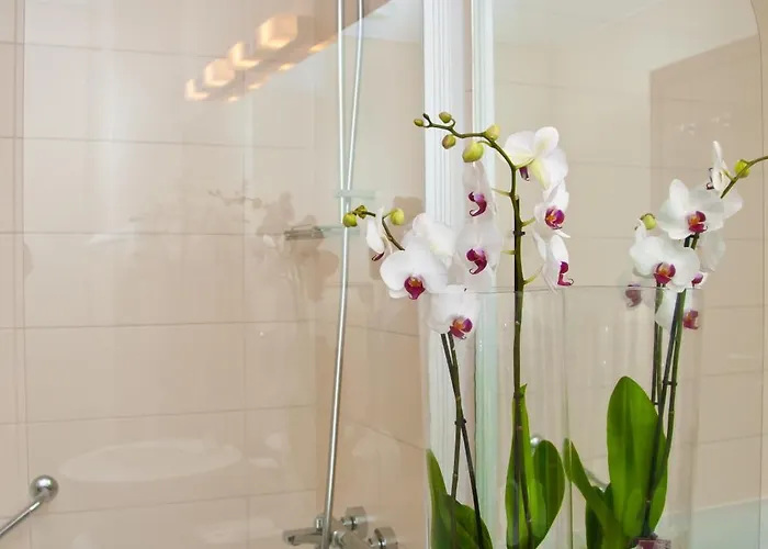 Hotel Beyfin Cluj-Napoca